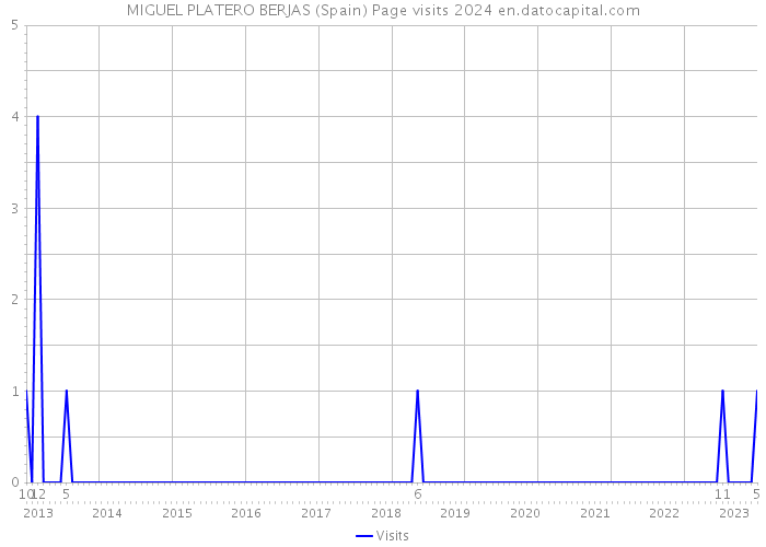 MIGUEL PLATERO BERJAS (Spain) Page visits 2024 