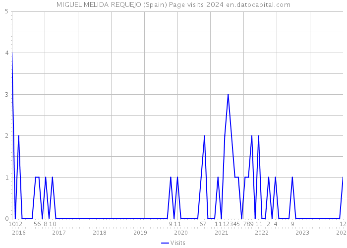 MIGUEL MELIDA REQUEJO (Spain) Page visits 2024 
