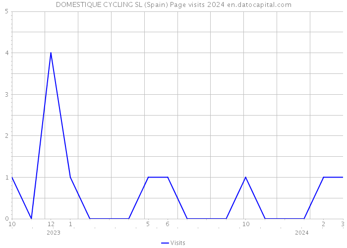 DOMESTIQUE CYCLING SL (Spain) Page visits 2024 