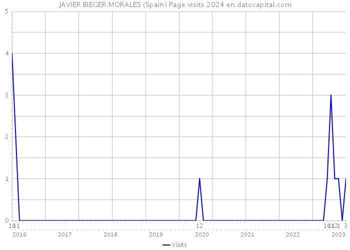 JAVIER BIEGER MORALES (Spain) Page visits 2024 