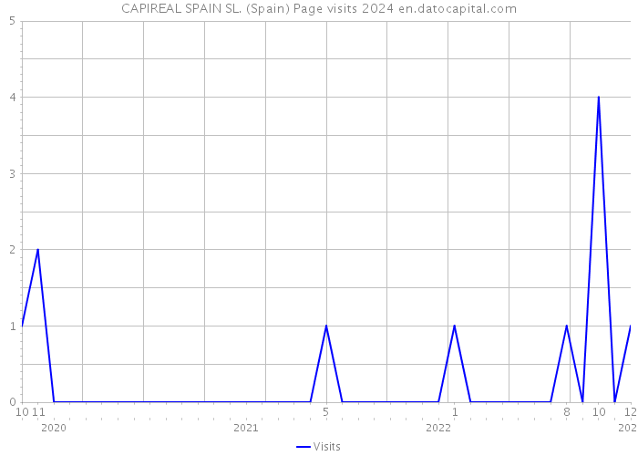 CAPIREAL SPAIN SL. (Spain) Page visits 2024 