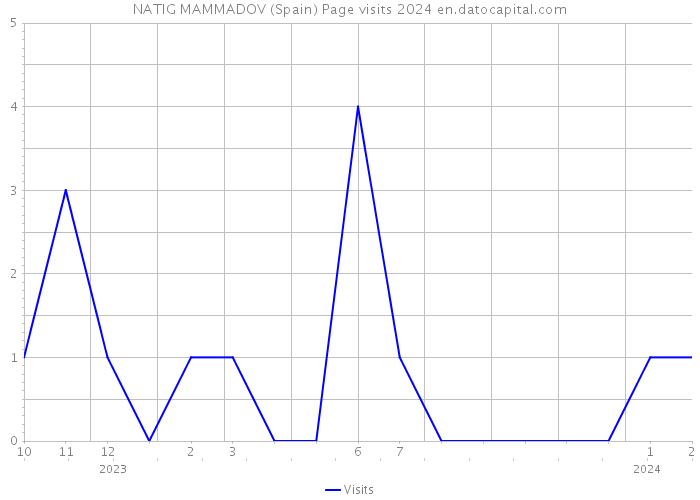 NATIG MAMMADOV (Spain) Page visits 2024 