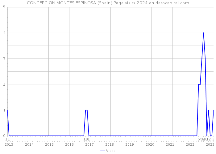 CONCEPCION MONTES ESPINOSA (Spain) Page visits 2024 