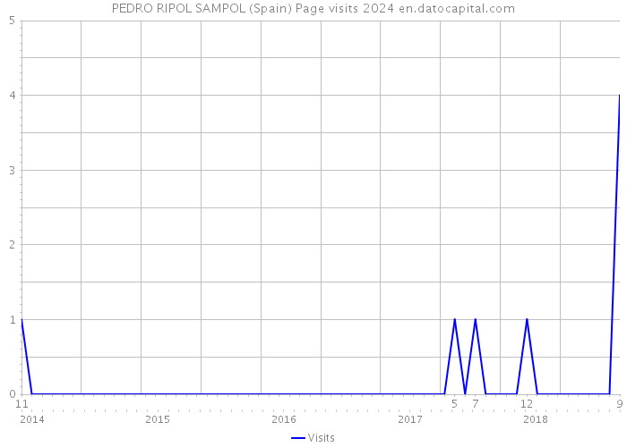 PEDRO RIPOL SAMPOL (Spain) Page visits 2024 