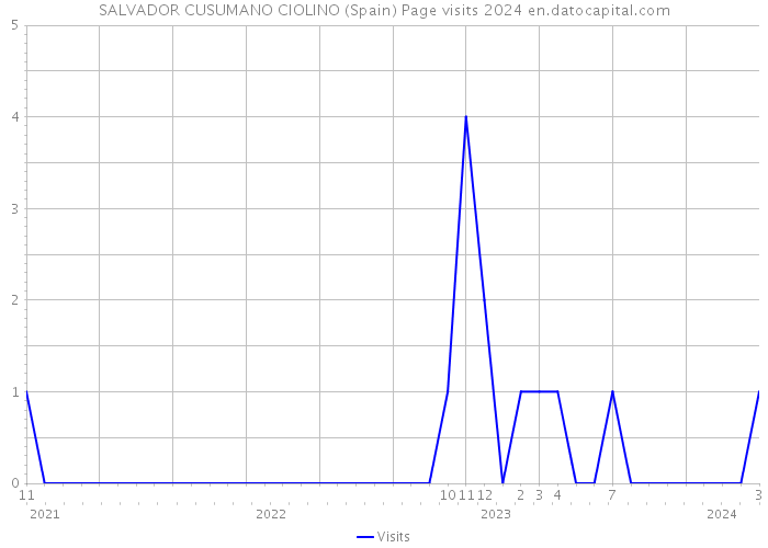 SALVADOR CUSUMANO CIOLINO (Spain) Page visits 2024 