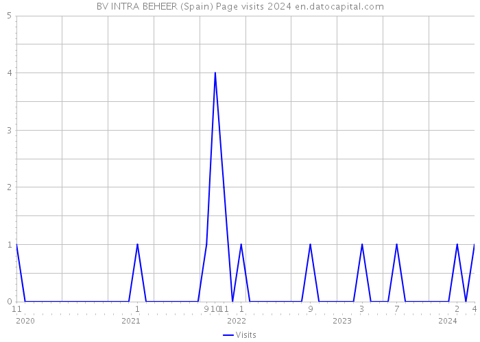 BV INTRA BEHEER (Spain) Page visits 2024 