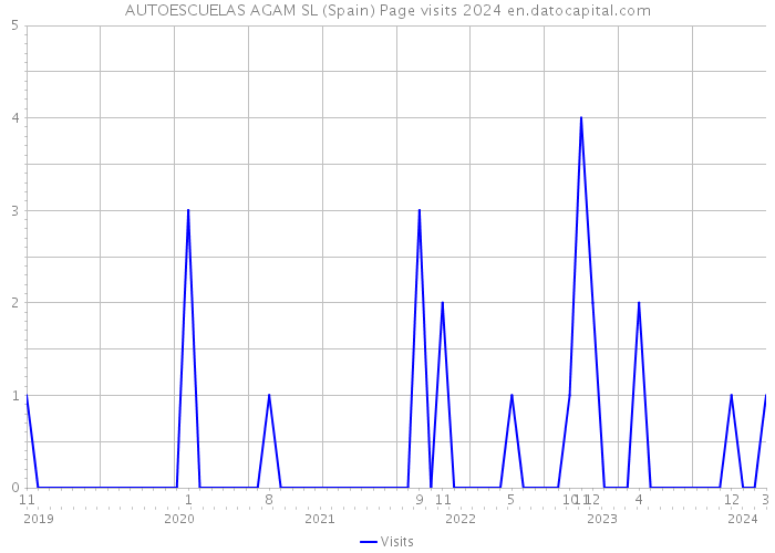 AUTOESCUELAS AGAM SL (Spain) Page visits 2024 