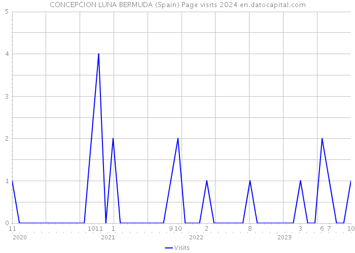 CONCEPCION LUNA BERMUDA (Spain) Page visits 2024 