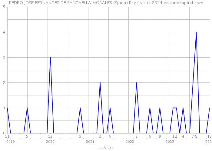 PEDRO JOSE FERNANDEZ DE SANTAELLA MORALES (Spain) Page visits 2024 