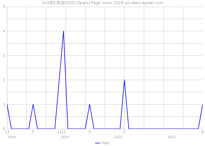 AGNES BUJDOSO (Spain) Page visits 2024 