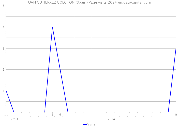 JUAN GUTIERREZ COLCHON (Spain) Page visits 2024 