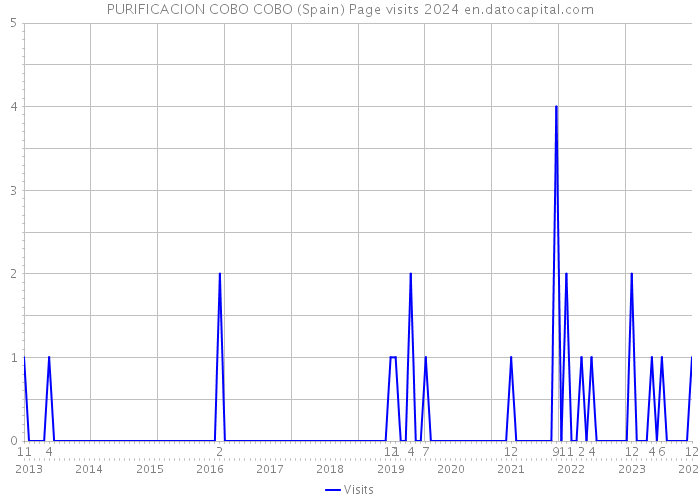 PURIFICACION COBO COBO (Spain) Page visits 2024 