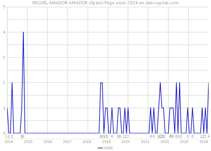 MIGUEL AMADOR AMADOR (Spain) Page visits 2024 