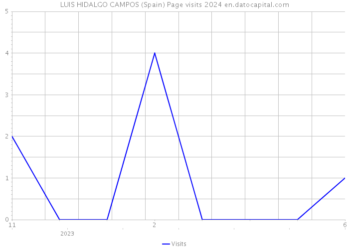 LUIS HIDALGO CAMPOS (Spain) Page visits 2024 
