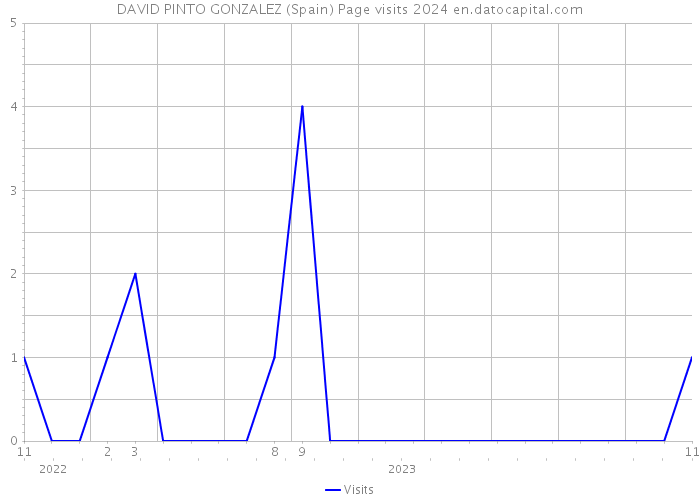 DAVID PINTO GONZALEZ (Spain) Page visits 2024 