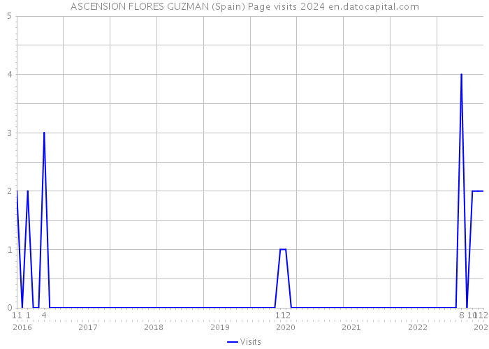ASCENSION FLORES GUZMAN (Spain) Page visits 2024 