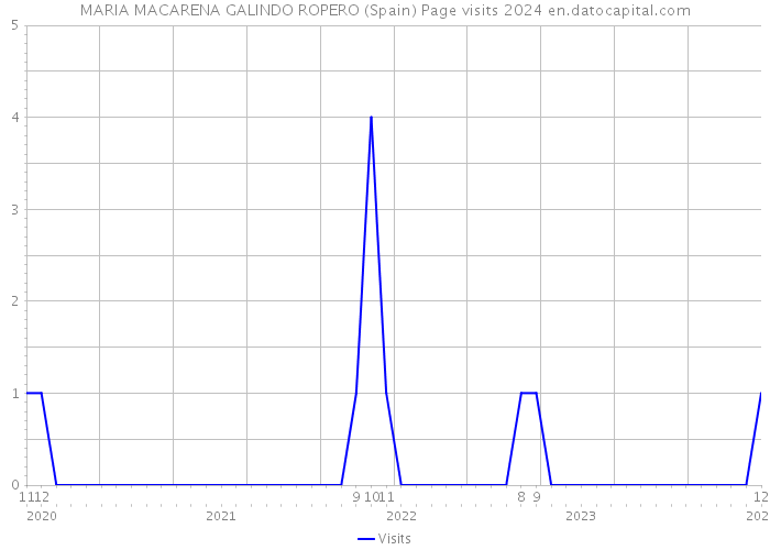 MARIA MACARENA GALINDO ROPERO (Spain) Page visits 2024 