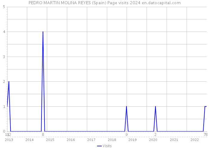 PEDRO MARTIN MOLINA REYES (Spain) Page visits 2024 