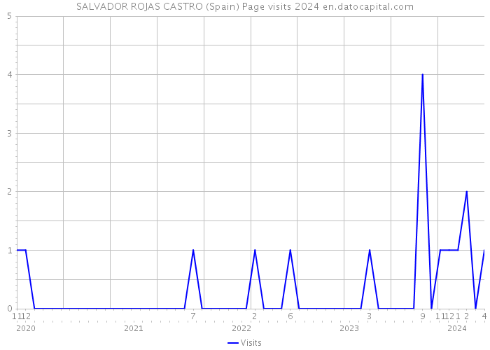 SALVADOR ROJAS CASTRO (Spain) Page visits 2024 