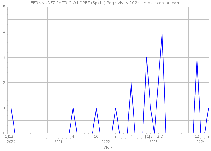 FERNANDEZ PATRICIO LOPEZ (Spain) Page visits 2024 