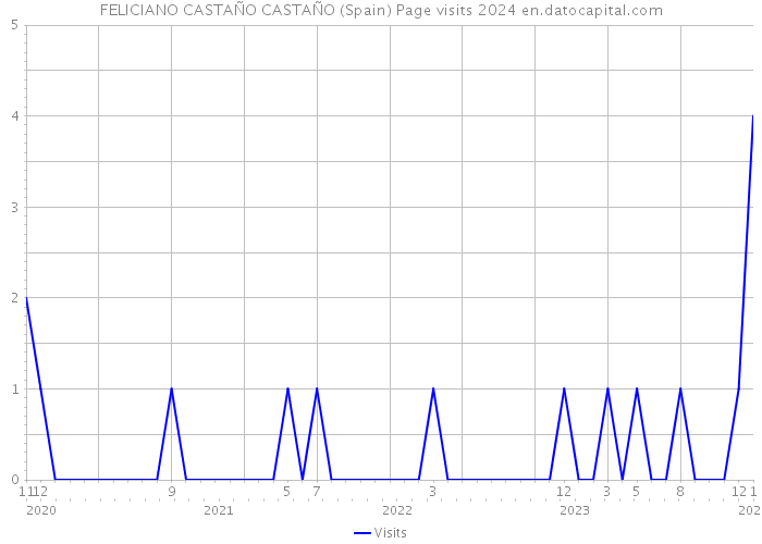 FELICIANO CASTAÑO CASTAÑO (Spain) Page visits 2024 