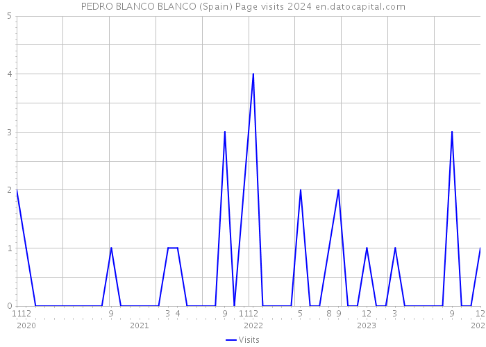PEDRO BLANCO BLANCO (Spain) Page visits 2024 
