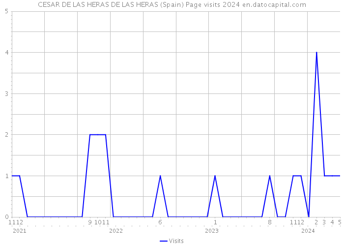 CESAR DE LAS HERAS DE LAS HERAS (Spain) Page visits 2024 