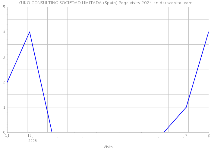 YUKO CONSULTING SOCIEDAD LIMITADA (Spain) Page visits 2024 