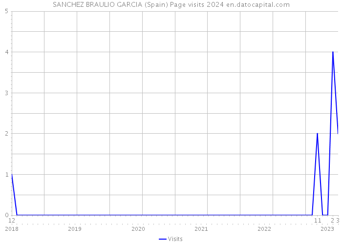 SANCHEZ BRAULIO GARCIA (Spain) Page visits 2024 