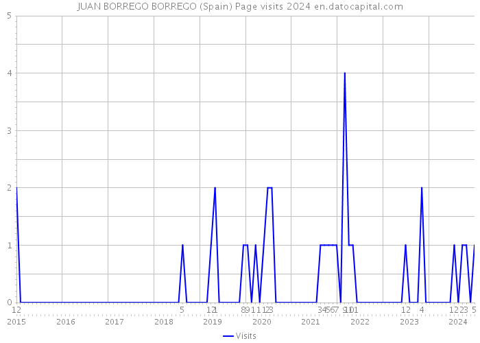 JUAN BORREGO BORREGO (Spain) Page visits 2024 