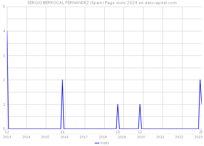 SERGIO BERROCAL FERNANDEZ (Spain) Page visits 2024 