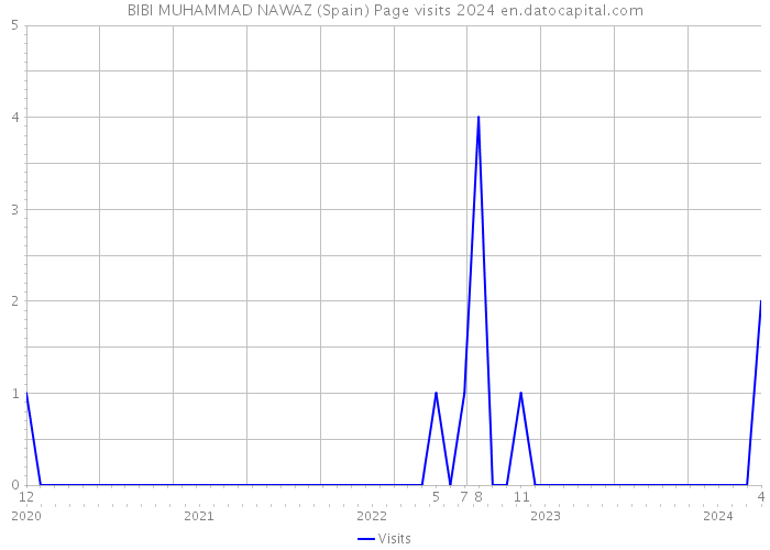 BIBI MUHAMMAD NAWAZ (Spain) Page visits 2024 