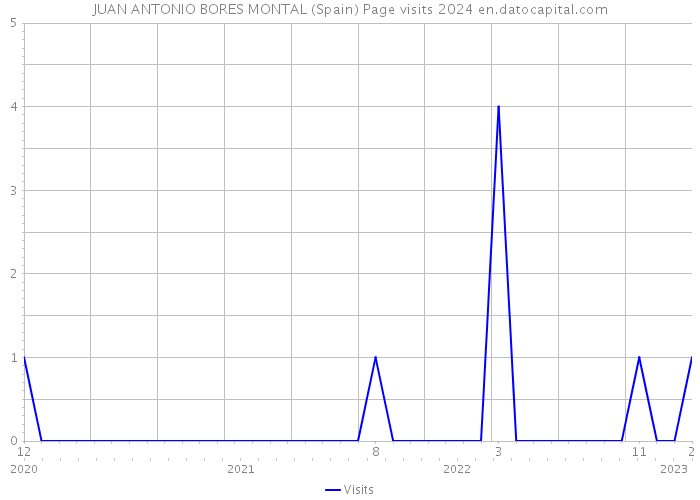 JUAN ANTONIO BORES MONTAL (Spain) Page visits 2024 