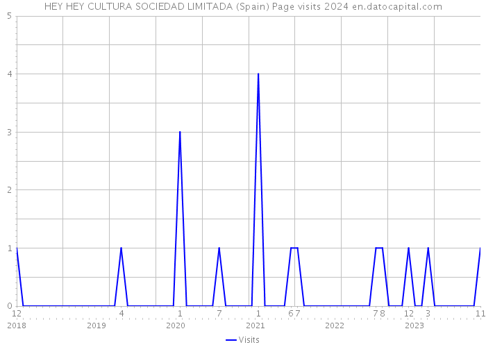 HEY HEY CULTURA SOCIEDAD LIMITADA (Spain) Page visits 2024 