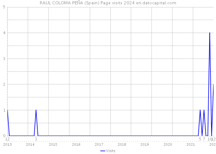 RAUL COLOMA PEÑA (Spain) Page visits 2024 