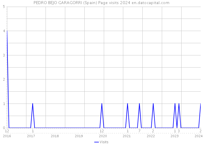 PEDRO BEJO GARAGORRI (Spain) Page visits 2024 