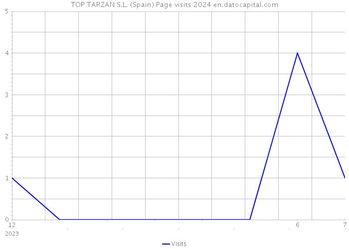 TOP TARZAN S.L. (Spain) Page visits 2024 