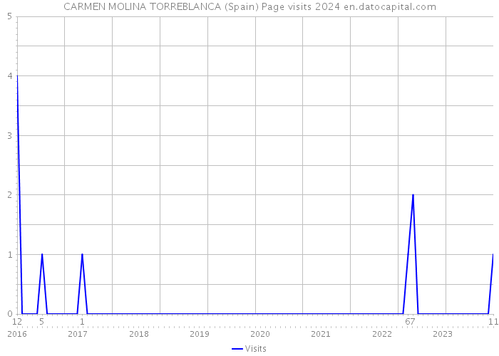 CARMEN MOLINA TORREBLANCA (Spain) Page visits 2024 