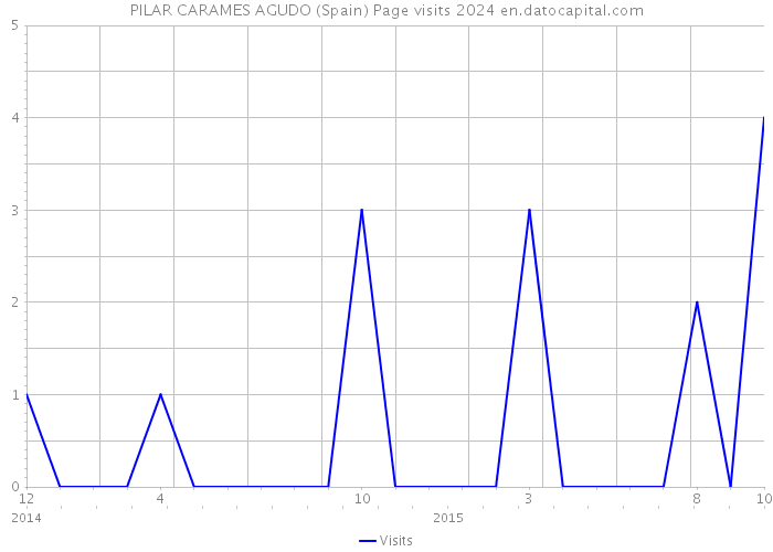 PILAR CARAMES AGUDO (Spain) Page visits 2024 