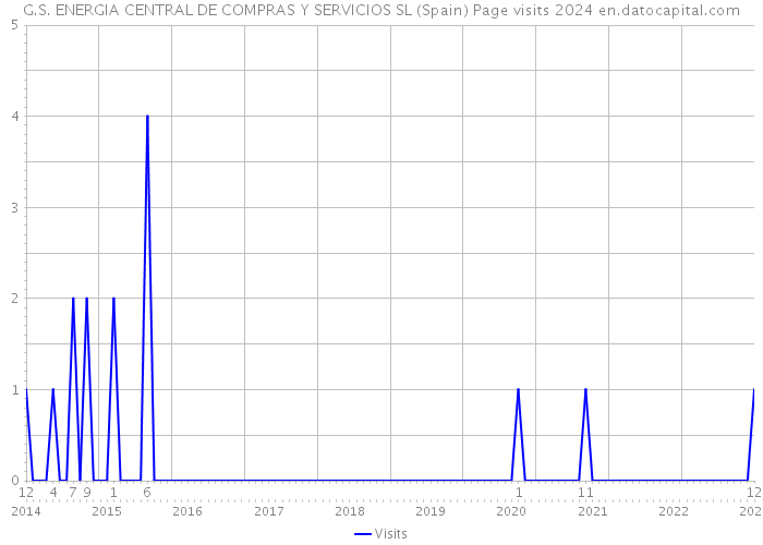 G.S. ENERGIA CENTRAL DE COMPRAS Y SERVICIOS SL (Spain) Page visits 2024 