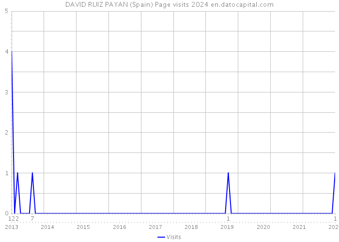 DAVID RUIZ PAYAN (Spain) Page visits 2024 