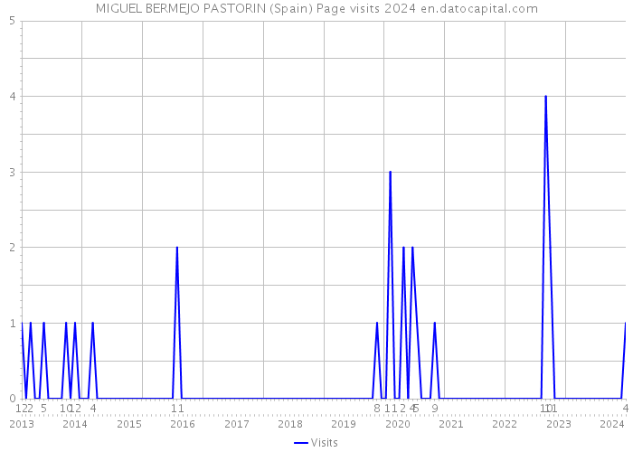 MIGUEL BERMEJO PASTORIN (Spain) Page visits 2024 