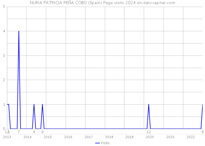 NURIA PATRICIA PEÑA COBO (Spain) Page visits 2024 