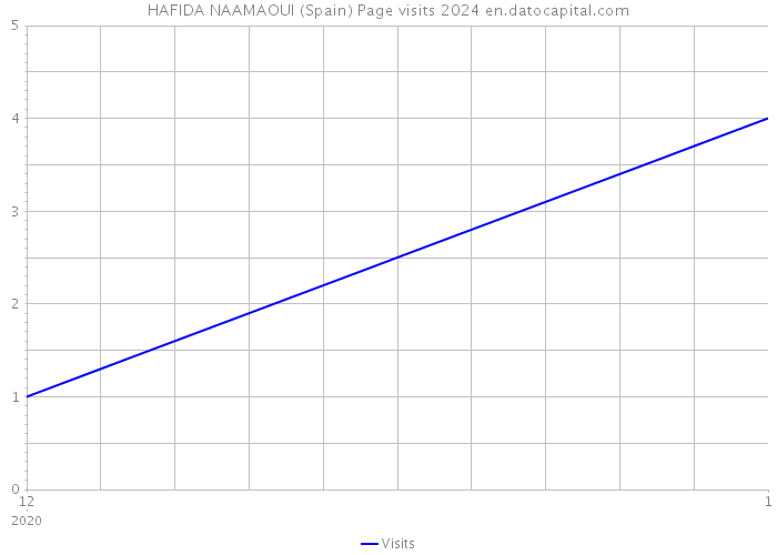 HAFIDA NAAMAOUI (Spain) Page visits 2024 