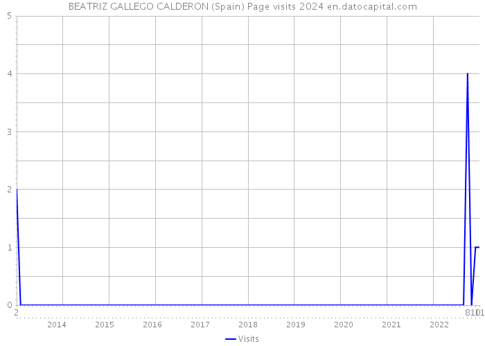 BEATRIZ GALLEGO CALDERON (Spain) Page visits 2024 