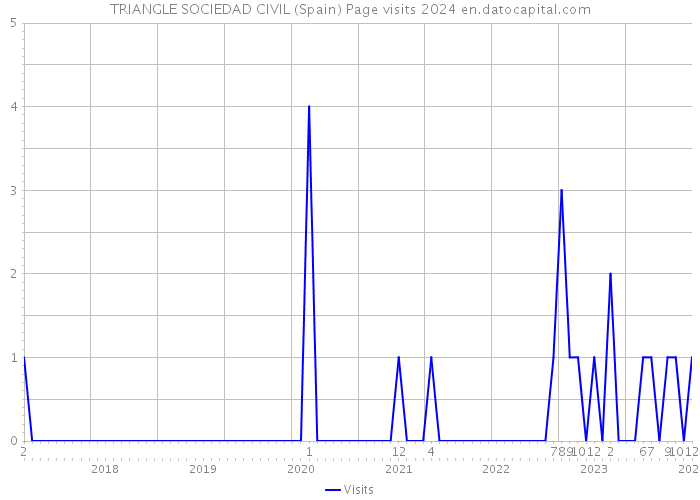 TRIANGLE SOCIEDAD CIVIL (Spain) Page visits 2024 