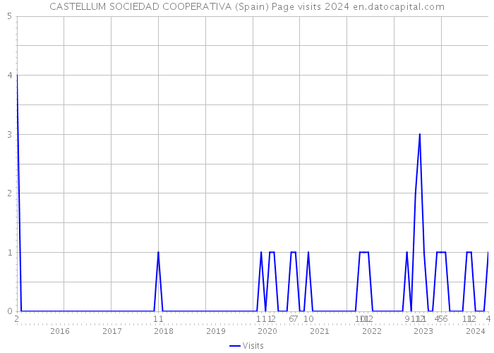 CASTELLUM SOCIEDAD COOPERATIVA (Spain) Page visits 2024 