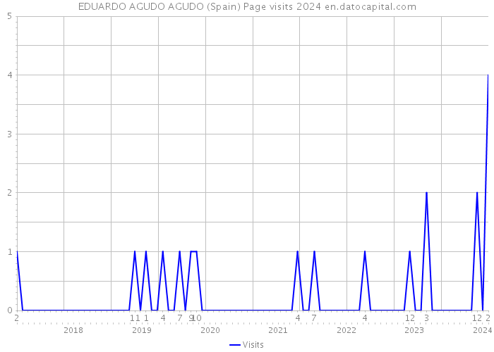 EDUARDO AGUDO AGUDO (Spain) Page visits 2024 