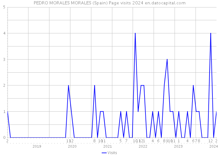 PEDRO MORALES MORALES (Spain) Page visits 2024 