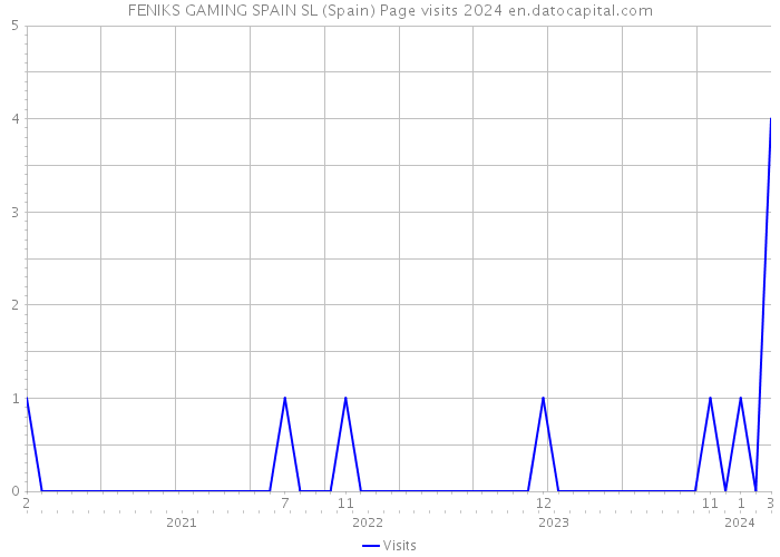 FENIKS GAMING SPAIN SL (Spain) Page visits 2024 